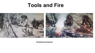 Tools and Fire
Evolutionary features
 