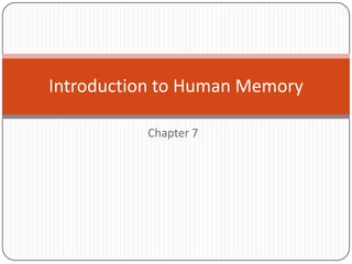 Chapter 7 Introduction to Human Memory 