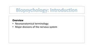 Overview
• Neuroanatomical terminology
• Major divisions of the nervous system
 