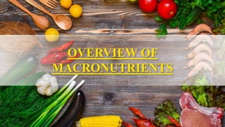 OVERVIEW OF
MACRONUTRIENTS
 