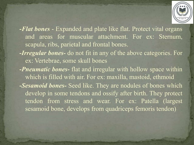 Introduction to Human Osteology Part 1 | PPTX