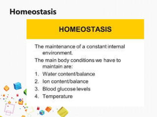 Homeostasis
 