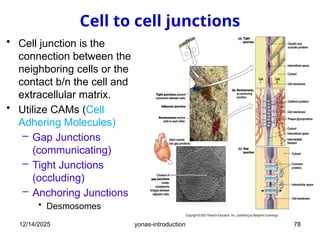 introduction to general human physiology.pptx