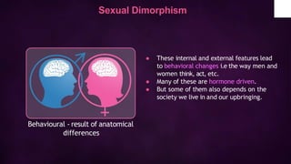 Dimorphism In Humans Comprehensive Overview of Human Male Reproductive System and Sexual ...