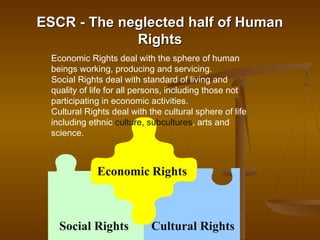 Support Economic Rights Introduction to human rights | PPT