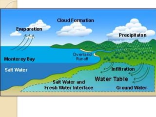 Introduction to Hydrology & Precipitation - Module - 1.pptx
