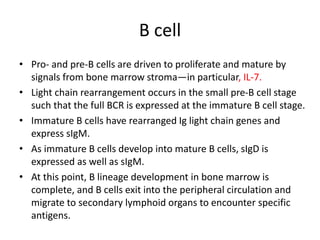 Introduction to immune system | PPTX