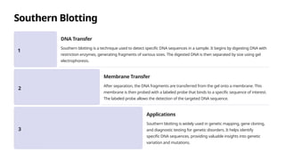 Southern Blotting
1
DNA Transfer
Southern blotting is a technique used to detect specific DNA sequences in a sample. It begins by digesting DNA with
restriction enzymes, generating fragments of various sizes. The digested DNA is then separated by size using gel
electrophoresis.
2
Membrane Transfer
After separation, the DNA fragments are transferred from the gel onto a membrane. This
membrane is then probed with a labeled probe that binds to a specific sequence of interest.
The labeled probe allows the detection of the targeted DNA sequence.
3
Applications
Southern blotting is widely used in genetic mapping, gene cloning,
and diagnostic testing for genetic disorders. It helps identify
specific DNA sequences, providing valuable insights into genetic
variation and mutations.
 