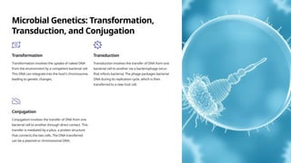Microbial Genetics: Transformation,
Transduction, and Conjugation
Transformation
Transformation involves the uptake of naked DNA
from the environment by a competent bacterial cell.
This DNA can integrate into the host's chromosome,
leading to genetic changes.
Transduction
Transduction involves the transfer of DNA from one
bacterial cell to another via a bacteriophage (virus
that infects bacteria). The phage packages bacterial
DNA during its replication cycle, which is then
transferred to a new host cell.
Conjugation
Conjugation involves the transfer of DNA from one
bacterial cell to another through direct contact. This
transfer is mediated by a pilus, a protein structure
that connects the two cells. The DNA transferred
can be a plasmid or chromosomal DNA.
 