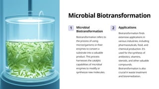 Microbial Biotransformation
1 Microbial
Biotransformation
Biotransformation refers to
the process of using
microorganisms or their
enzymes to convert a
substrate into a valuable
product. This process
harnesses the catalytic
capabilities of microbial
enzymes to modify or
synthesize new molecules.
2 Applications
Biotransformation finds
extensive applications in
various industries, including
pharmaceuticals, food, and
chemical production. It's
used for the synthesis of
antibiotics, vitamins,
steroids, and other valuable
compounds.
Biotransformation is also
crucial in waste treatment
and bioremediation.
 