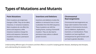 Types of Mutations and Mutants
Point Mutations
Point mutations are single base
changes in DNA. They can be silent,
missense, or nonsense mutations.
Silent mutations do not affect the
amino acid sequence, while
missense mutations change the
amino acid sequence. Nonsense
mutations introduce a premature
stop codon.
Insertions and Deletions
Insertions and deletions involve the
addition or removal of one or more
nucleotides from the DNA sequence.
These mutations can shift the
reading frame, causing a frameshift
mutation. They can also lead to
premature stop codons or altered
protein function.
Chromosomal
Rearrangements
Chromosomal rearrangements are
large-scale mutations that involve
changes in chromosome structure,
such as deletions, duplications,
inversions, or translocations. These
mutations can have significant
consequences for gene function and
can lead to genetic disorders.
Understanding different types of mutations and their effects is crucial for studying genetic diseases, developing new therapies,
and understanding the evolution of life.
 