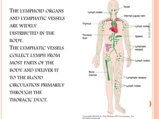 THE LYMPHOID ORGANS
AND LYMPHATIC VESSELS
ARE WIDELY
DISTRIBUTED IN THE
BODY.
THE LYMPHATIC VESSELS
COLLECT LYMPH FROM
MOST PARTS OF THE
BODY AND DELIVER IT
TO THE BLOOD
CIRCULATION PRIMARILY
THROUGH THE
THORACIC DUCT.
12April2015
14
 