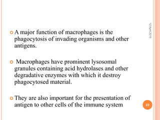  A major function of macrophages is the
phagocytosis of invading organisms and other
antigens.
 Macrophages have prominent lysosomal
granules containing acid hydrolases and other
degradative enzymes with which it destroy
phagocytosed material.
 They are also important for the presentation of
antigen to other cells of the immune system
12April2015
22
 
