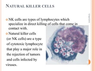 NATURAL KILLER CELLS
 NK cells are types of lymphocytes which
specialize in direct killing of cells that come in
contact with.
 Natural killer cells
(or NK cells) are a type
of cytotoxic lymphocyte
that play a major role in
the rejection of tumors
and cells infected by
viruses.
12April2015
24
 