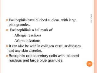  Eosinophils have bilobed nucleus, with large
pink granules.
 Eosinophiliais a hallmark of:
.Allergic reactions
.Worm infections
 It can also be seen in collagen vascular diseases
and any skin disorder.
 Basophils are secretory cells with bilobed
nucleus and large blue granules.
12April2015
26
 