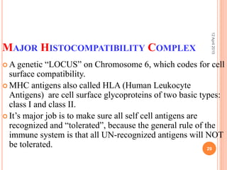 MAJOR HISTOCOMPATIBILITY COMPLEX
 A genetic “LOCUS” on Chromosome 6, which codes for cell
surface compatibility.
 MHC antigens also called HLA (Human Leukocyte
Antigens) are cell surface glycoproteins of two basic types:
class I and class II.
 It’s major job is to make sure all self cell antigens are
recognized and “tolerated”, because the general rule of the
immune system is that all UN-recognized antigens will NOT
be tolerated.
12April2015
29
 