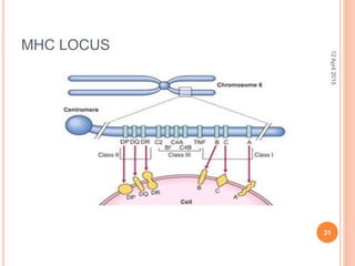 MHC LOCUS
12April2015
31
 