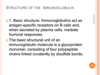 STRUCTURE OF THE IMMUNOGLOBULIN
 1. Basic structure: Immunoglobulins act as
antigen-specific receptors on B cells and,
when secreted by plasma cells, mediate
humoral responses.
 The basic structural unit of an
immunoglobulin molecule is a glycoprotein
monomer, consisting of four polypeptide
chains linked covalently by disulfide bonds.
12April2015
38
 