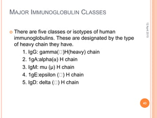 MAJOR IMMUNOGLOBULIN CLASSES
 There are five classes or isotypes of human
immunoglobulins. These are designated by the type
of heavy chain they have.
1. IgG: gamma( )H(heavy) chain
2. 1gA:alpha(α) H chain
3. IgM: mu (μ) H chain
4. 1gE:epsilon ( ) H chain
5. IgD: delta ( ) H chain
12April2015
43
 