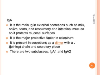 IgA
 It is the main Ig in external secretions such as milk,
saliva, tears, and respiratory and intestinal mucusa
so it protects mucosal surfaces
 It is the major protective factor in colostrum
 It is present in secretions as a dimer with a J
(joining) chain and secretory piece
 There are two subclasses: IgA1 and IgA2
12April2015
47
 