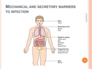 MECHANICAL AND SECRETORY BARRIERS
TO INFECTION
12April2015
6
 