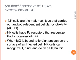 ANTIBODY-DEPENDENT CELLULAR
CYTOTOXICITY ADCC
 NK cells are the major cell type that carries
out antibody-dependent cellular cytotoxicity
(ADCC).
 NK cells have Fc receptors that recognize
the Fc domains of IgG.
 When IgG is bound to foreign antigen on the
surface of an infected cell, NK cells can
recognize it, bind, and deliver a lethal hit.
12April2015
64
 