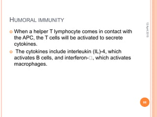 HUMORAL IMMUNITY
 When a helper T lymphocyte comes in contact with
the APC, the T cells will be activated to secrete
cytokines.
 The cytokines include interleukin (IL)-4, which
activates B cells, and interferon- , which activates
macrophages.
12April2015
66
 