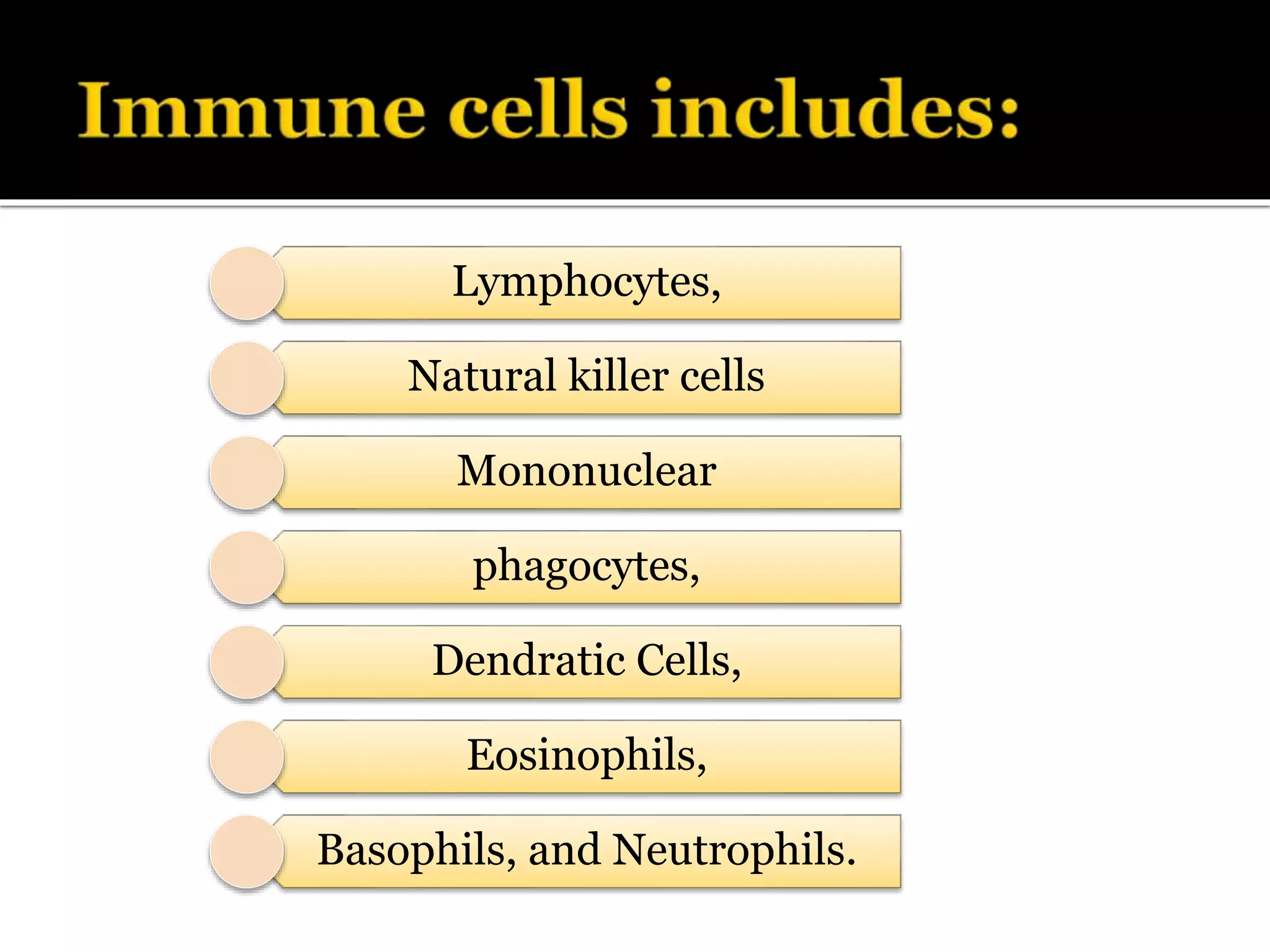Lymphocytes,
Natural killer cells
Mononuclear
phagocytes,
Dendratic Cells,
Eosinophils,
Basophils, and Neutrophils.
 