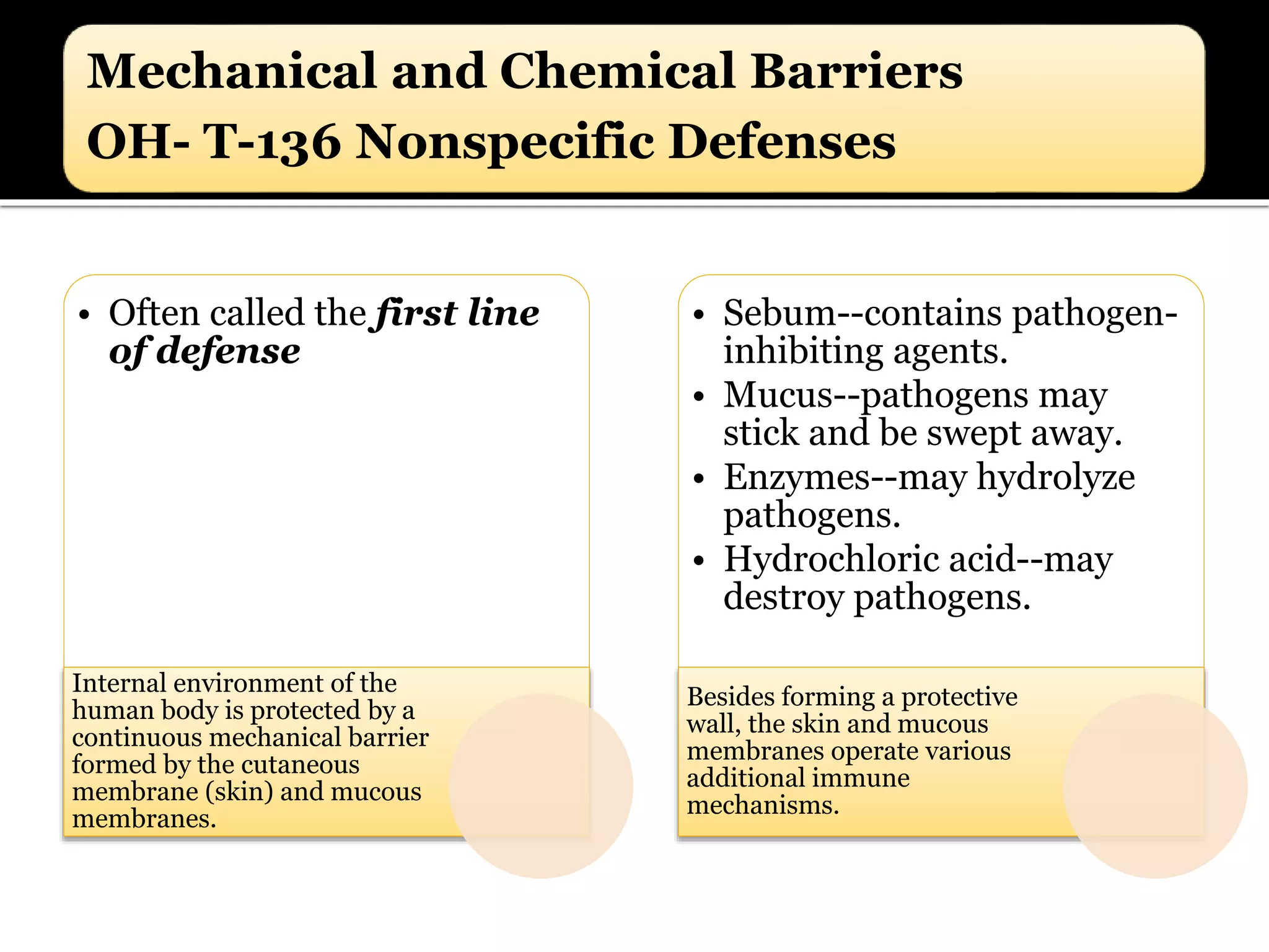 Mechanical and Chemical Barriers
OH- T-136 Nonspecific Defenses
• Often called the first line
of defense
Internal environment of the
human body is protected by a
continuous mechanical barrier
formed by the cutaneous
membrane (skin) and mucous
membranes.
• Sebum--contains pathogen-
inhibiting agents.
• Mucus--pathogens may
stick and be swept away.
• Enzymes--may hydrolyze
pathogens.
• Hydrochloric acid--may
destroy pathogens.
Besides forming a protective
wall, the skin and mucous
membranes operate various
additional immune
mechanisms.
 