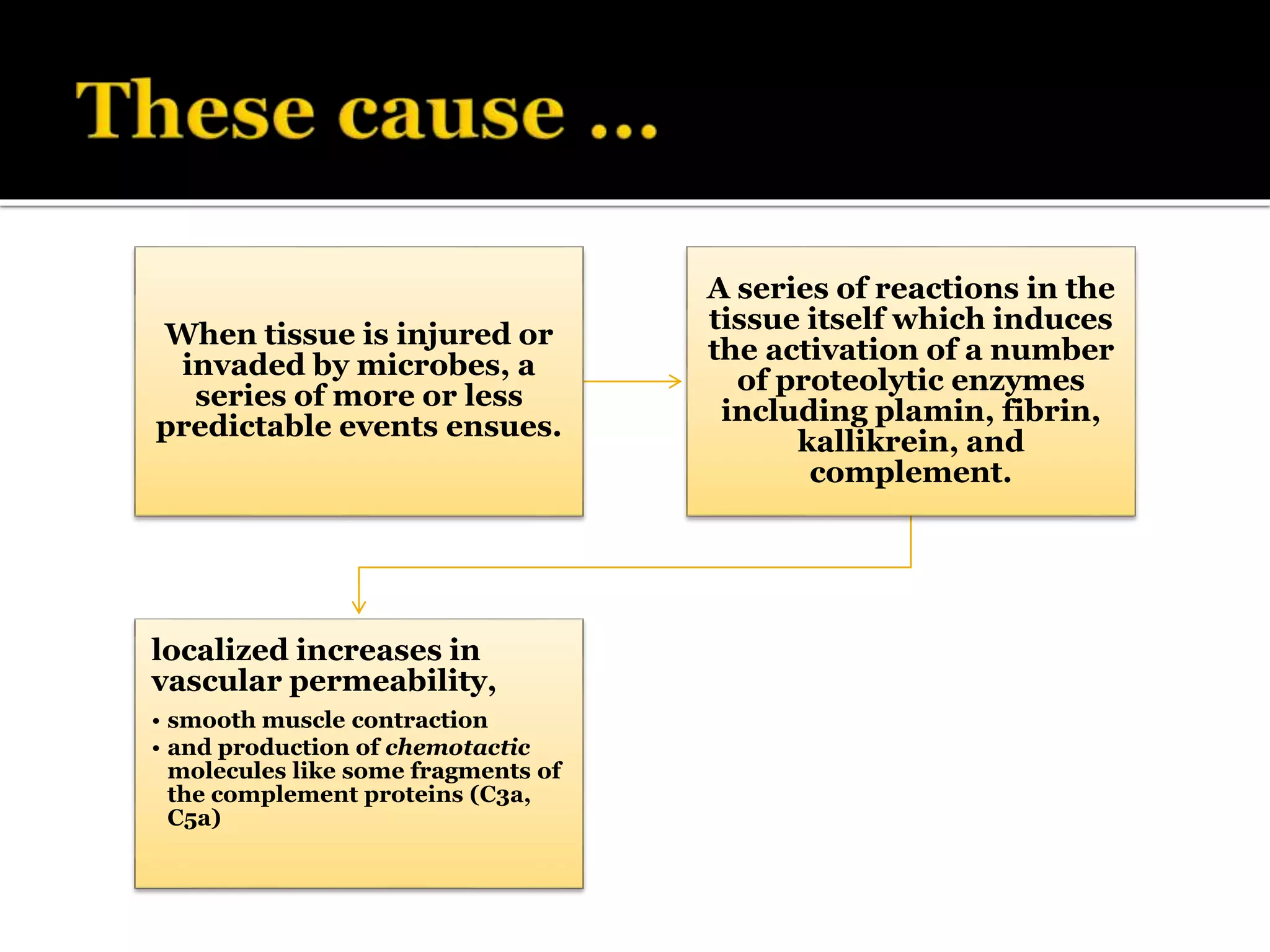 When tissue is injured or
invaded by microbes, a
series of more or less
predictable events ensues.
A series of reactions in the
tissue itself which induces
the activation of a number
of proteolytic enzymes
including plamin, fibrin,
kallikrein, and
complement.
localized increases in
vascular permeability,
• smooth muscle contraction
• and production of chemotactic
molecules like some fragments of
the complement proteins (C3a,
C5a)
 