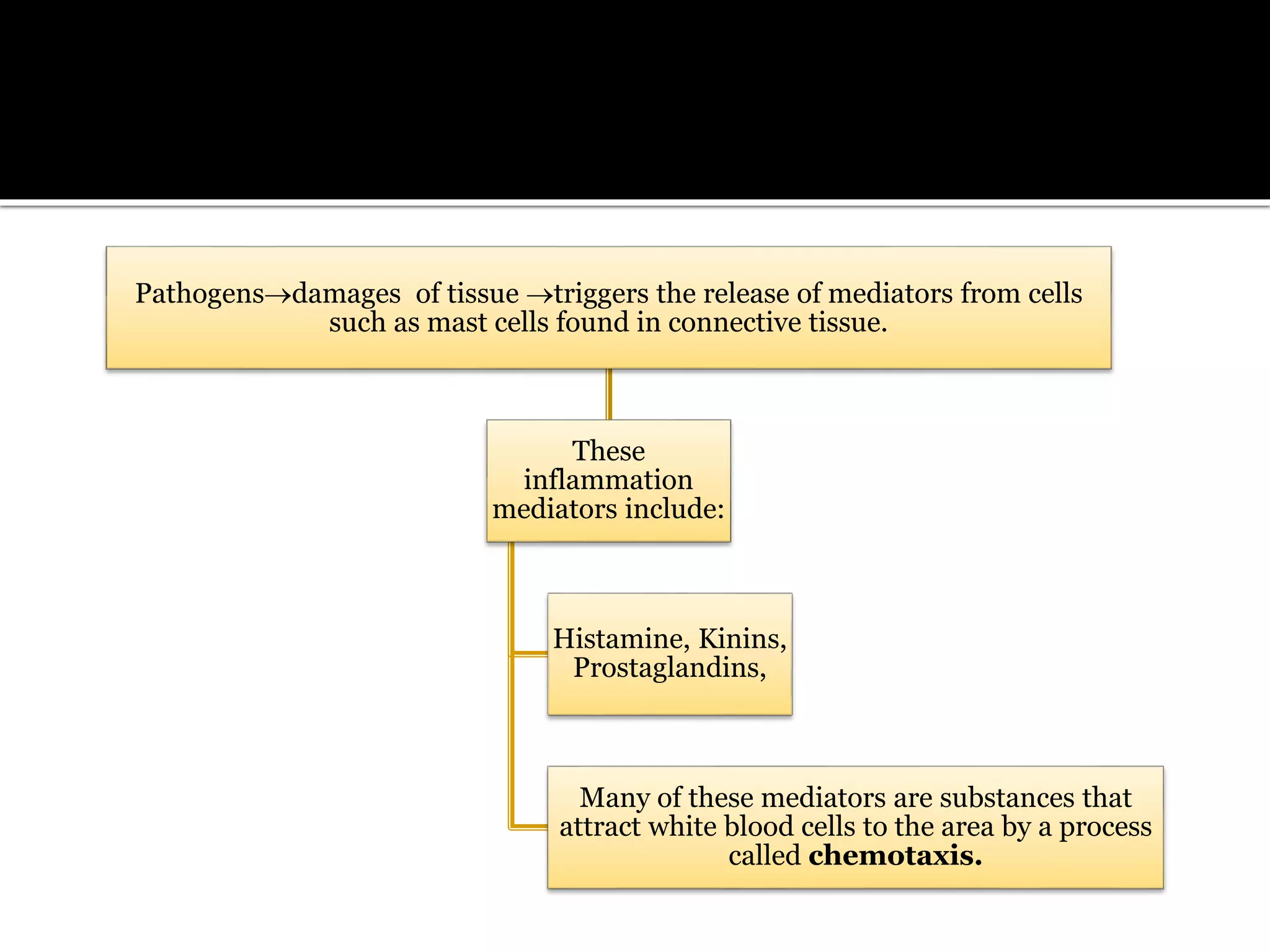 Pathogensdamages of tissue triggers the release of mediators from cells
such as mast cells found in connective tissue.
These
inflammation
mediators include:
Histamine, Kinins,
Prostaglandins,
Many of these mediators are substances that
attract white blood cells to the area by a process
called chemotaxis.
 