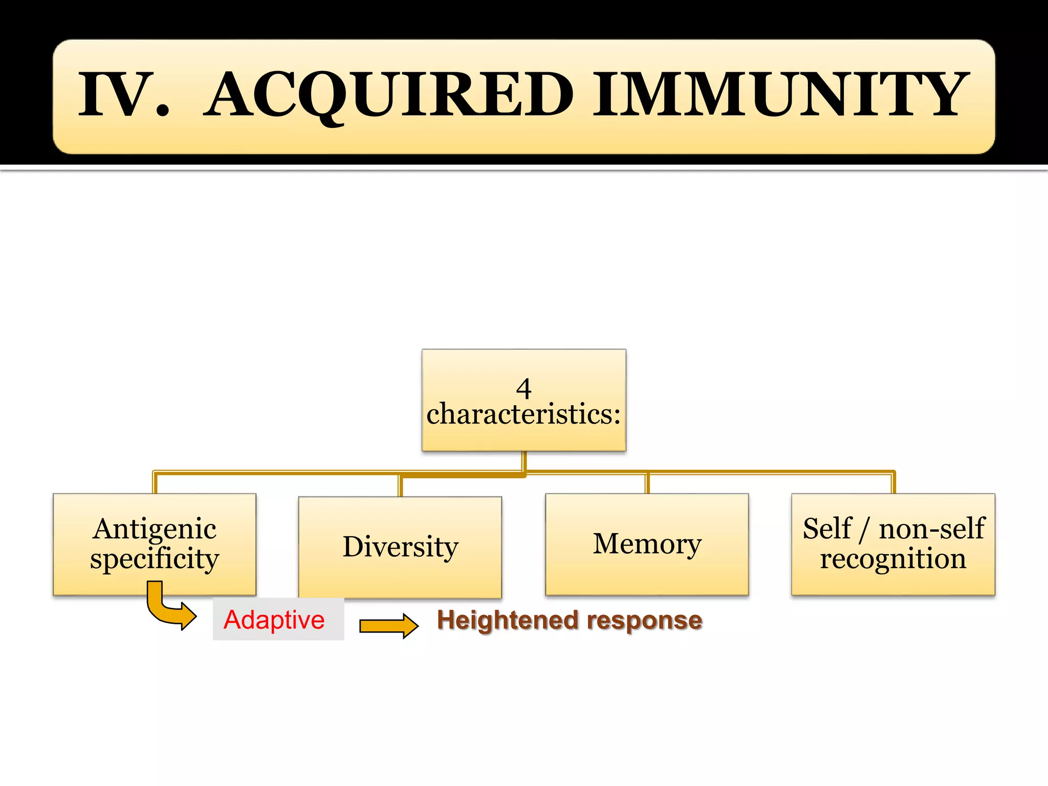 IV. ACQUIRED IMMUNITY
4
characteristics:
Antigenic
specificity Diversity Memory
Self / non-self
recognition
Adaptive Heightened response
 