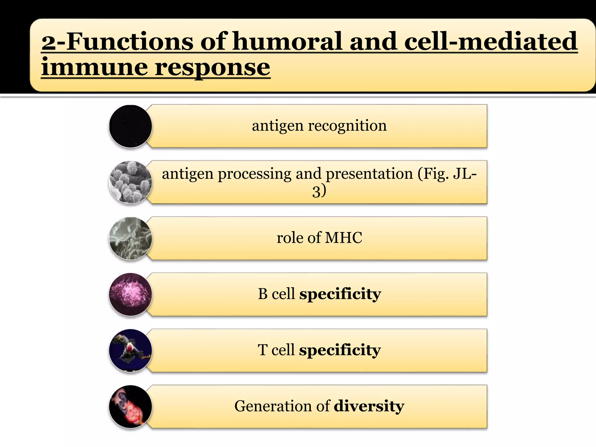 2-Functions of humoral and cell-mediated
immune response
antigen recognition
antigen processing and presentation (Fig. JL-
3)
role of MHC
B cell specificity
T cell specificity
Generation of diversity
 
