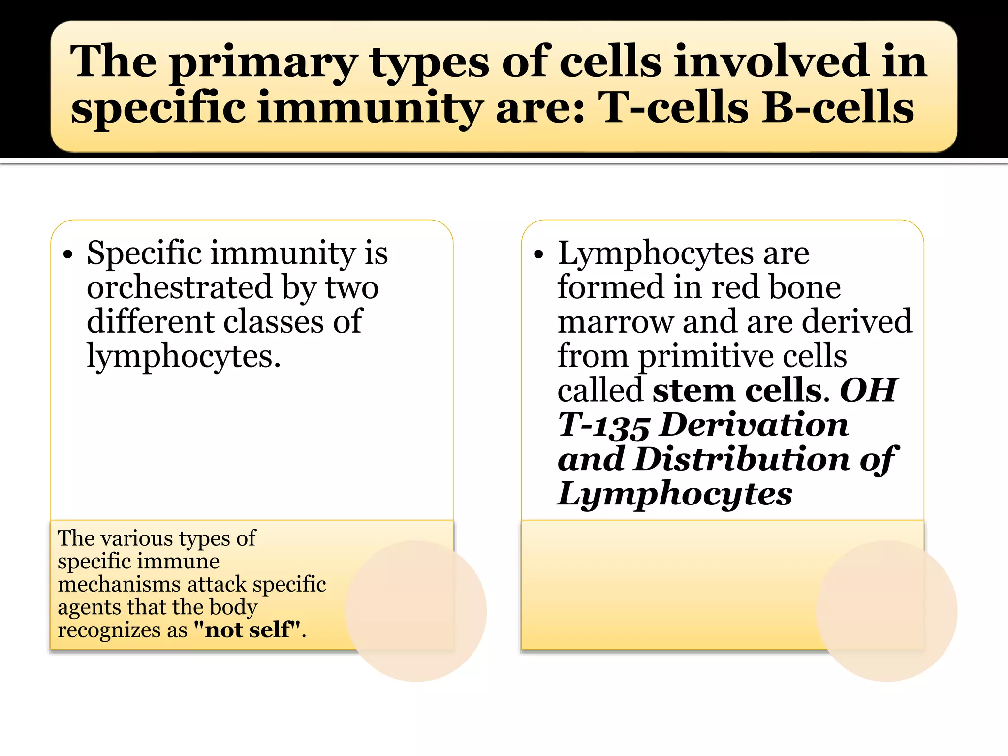 The primary types of cells involved in
specific immunity are: T-cells B-cells
• Specific immunity is
orchestrated by two
different classes of
lymphocytes.
The various types of
specific immune
mechanisms attack specific
agents that the body
recognizes as "not self".
• Lymphocytes are
formed in red bone
marrow and are derived
from primitive cells
called stem cells. OH
T-135 Derivation
and Distribution of
Lymphocytes
 