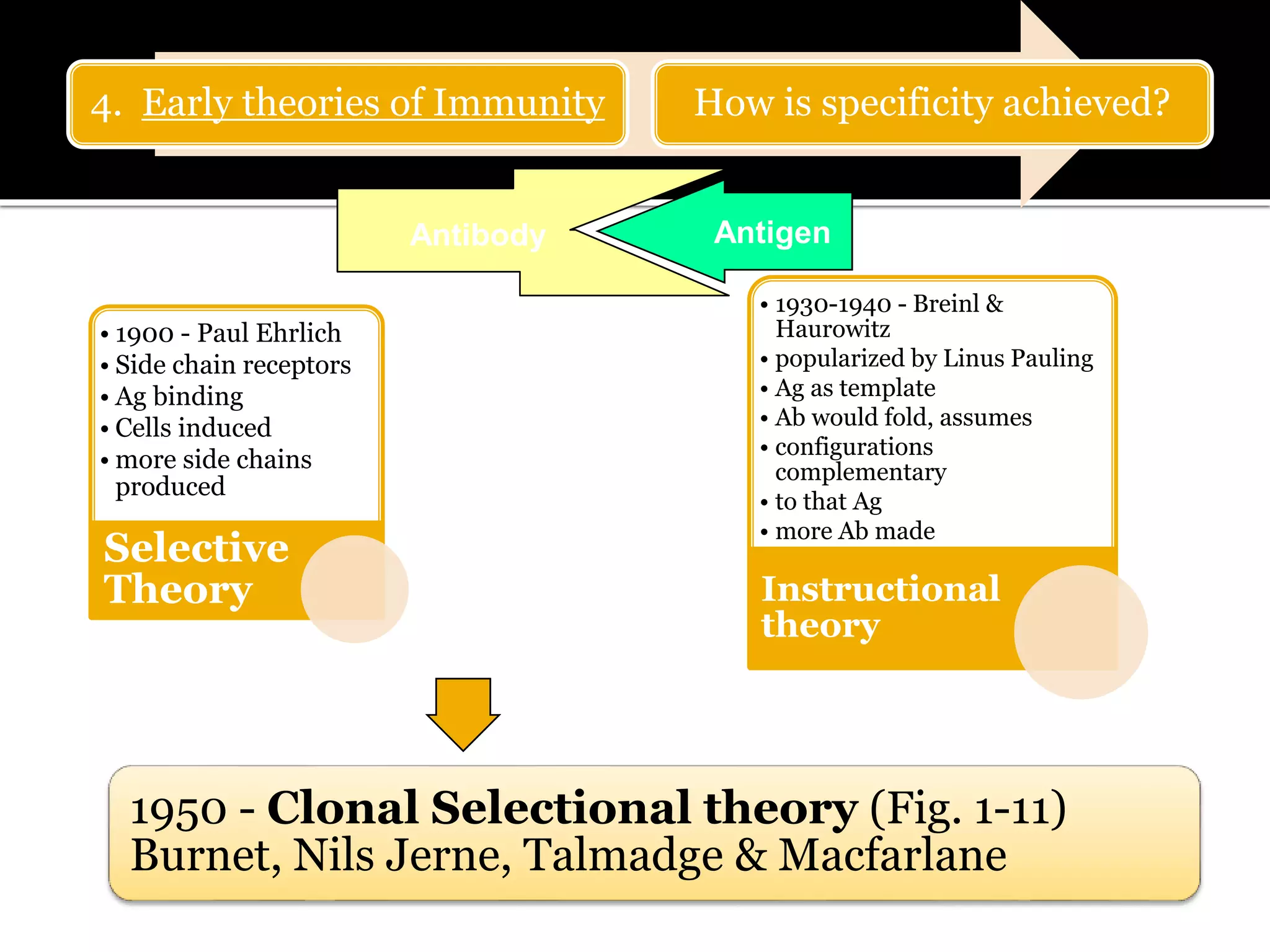• 1900 - Paul Ehrlich
• Side chain receptors
• Ag binding
• Cells induced
• more side chains
produced
Selective
Theory
• 1930-1940 - Breinl &
Haurowitz
• popularized by Linus Pauling
• Ag as template
• Ab would fold, assumes
• configurations
complementary
• to that Ag
• more Ab made
Instructional
theory
1950 - Clonal Selectional theory (Fig. 1-11)
Burnet, Nils Jerne, Talmadge & Macfarlane
4. Early theories of Immunity How is specificity achieved?
AntigenAntibody
 