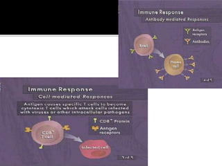 Introduction to immunology