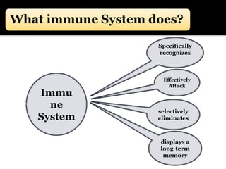 What immune System does?
Specifically
recognizes
selectively
eliminates
displays a
long-term
memory
Immu
ne
System
Effectively
Attack
 