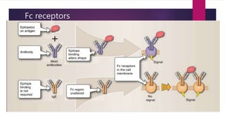 INTRODUCTION TO IMMUNOLOGY.pptx