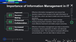 Introduction to Information Management.pptx
