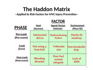 Comprehensive Introduction to Injury Prevention and Control: Historical ...