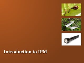 Introduction to IPM
 