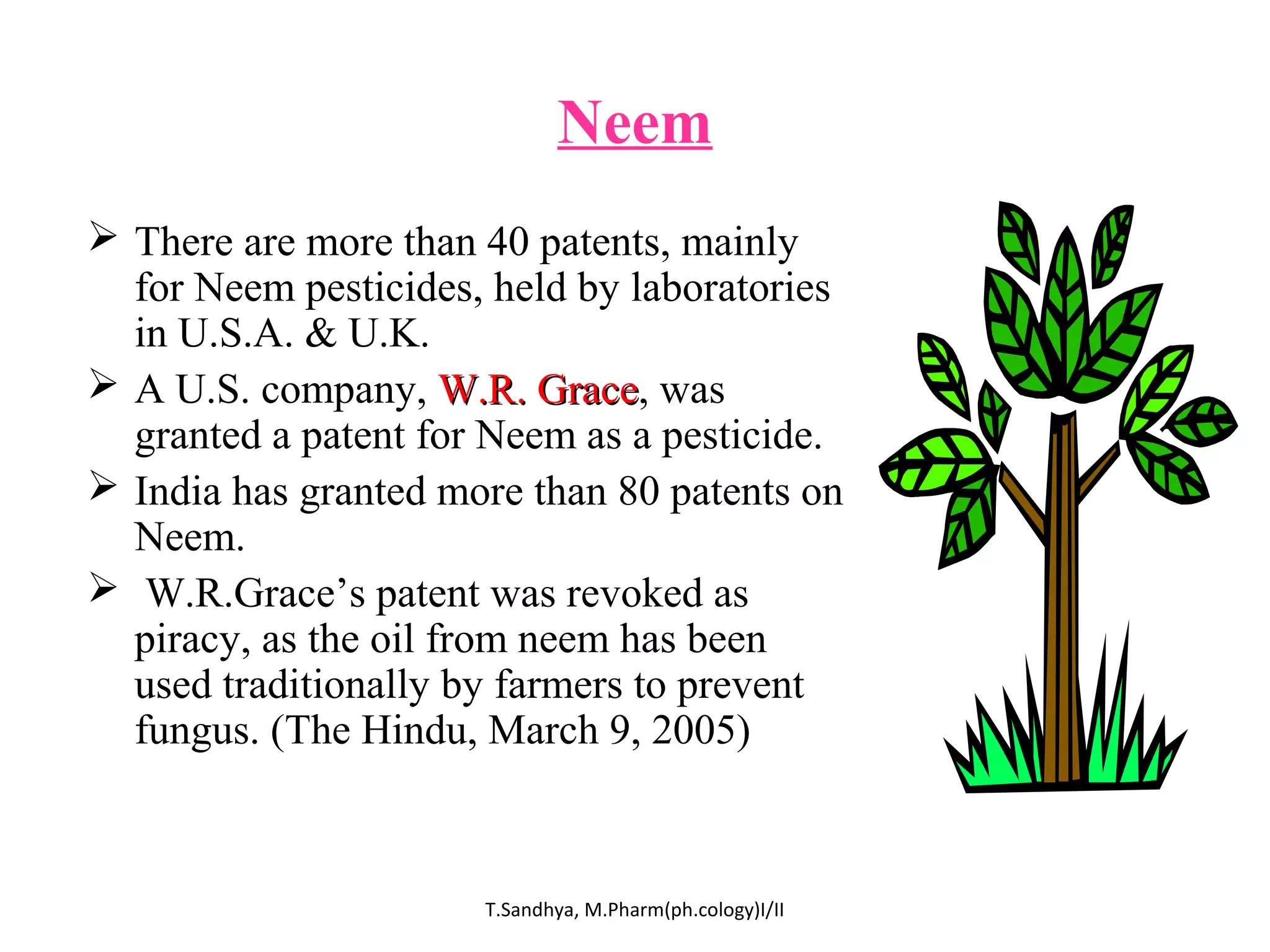 Neem 
 There are more than 40 patents, mainly 
for Neem pesticides, held by laboratories 
in U.S.A. & U.K. 
 A U.S. company, WW..RR.. GGrraaccee, was 
granted a patent for Neem as a pesticide. 
 India has granted more than 80 patents on 
Neem. 
 W.R.Grace’s patent was revoked as 
piracy, as the oil from neem has been 
used traditionally by farmers to prevent 
fungus. (The Hindu, March 9, 2005) 
T.Sandhya, M.Pharm(ph.cology)I/II 
 