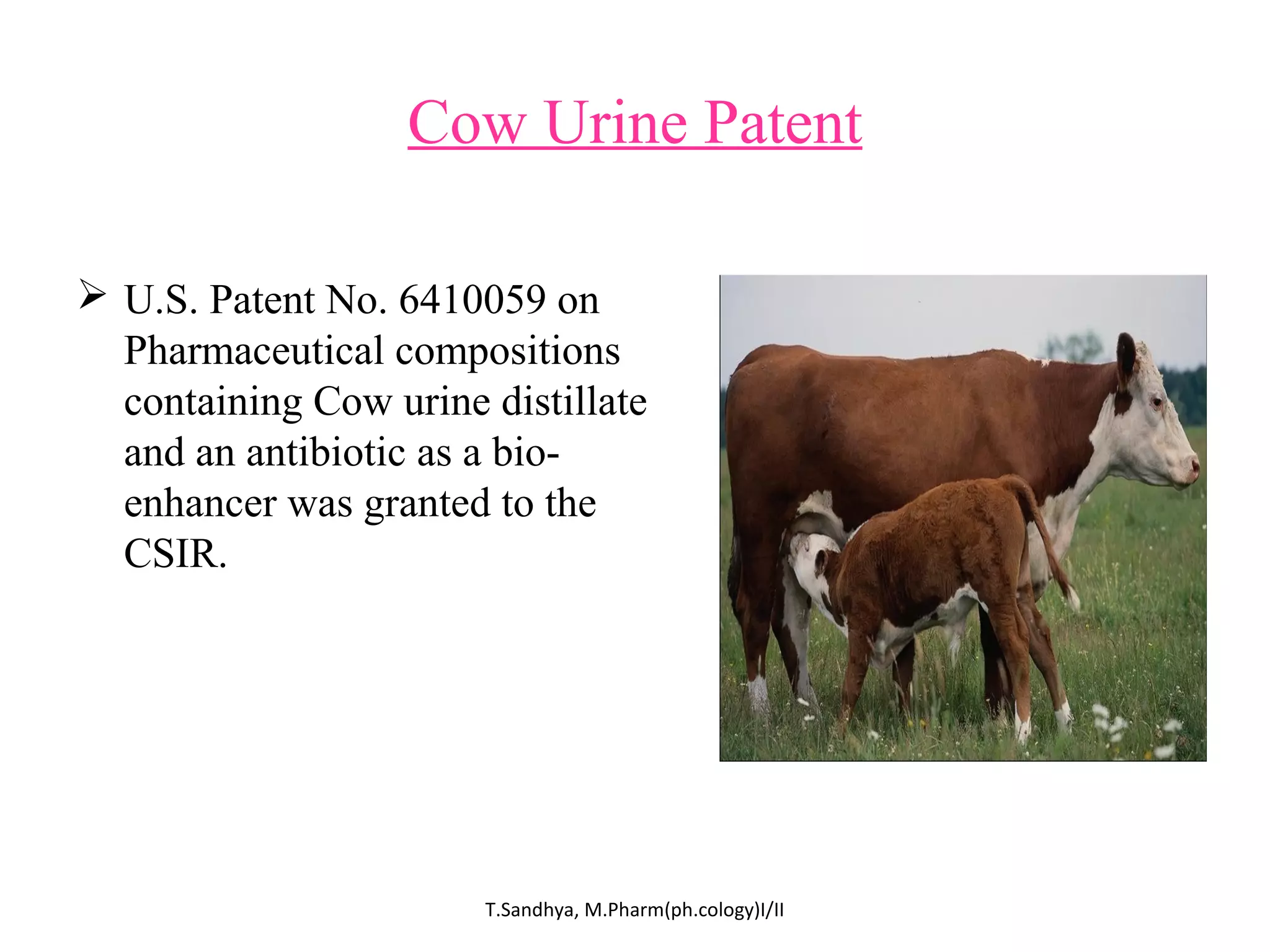 Cow Urine Patent 
 U.S. Patent No. 6410059 on 
Pharmaceutical compositions 
containing Cow urine distillate 
and an antibiotic as a bio-enhancer 
was granted to the 
CSIR. 
T.Sandhya, M.Pharm(ph.cology)I/II 
 