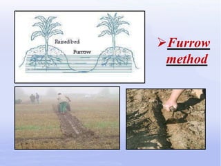 Introduction To Irrigation | PPTX