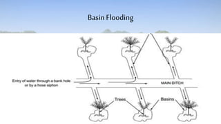 Basin Flooding
 