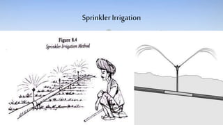 SprinklerIrrigation
 