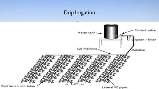 Drip Irrigation
 