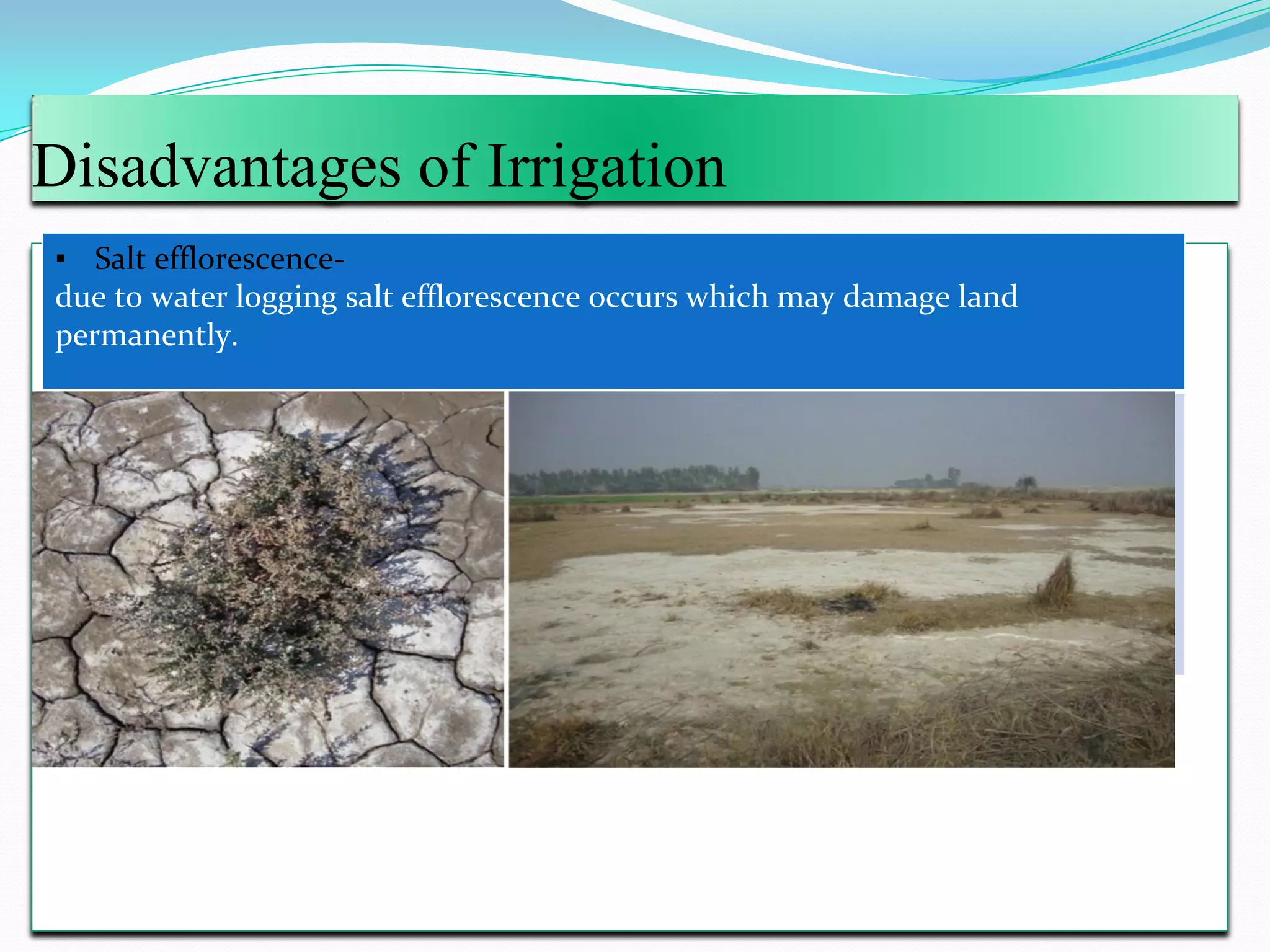 Disadvantages of Irrigation
▪ Salt efflorescence-
due to water logging salt efflorescence occurs which may damage land
permanently.
 
