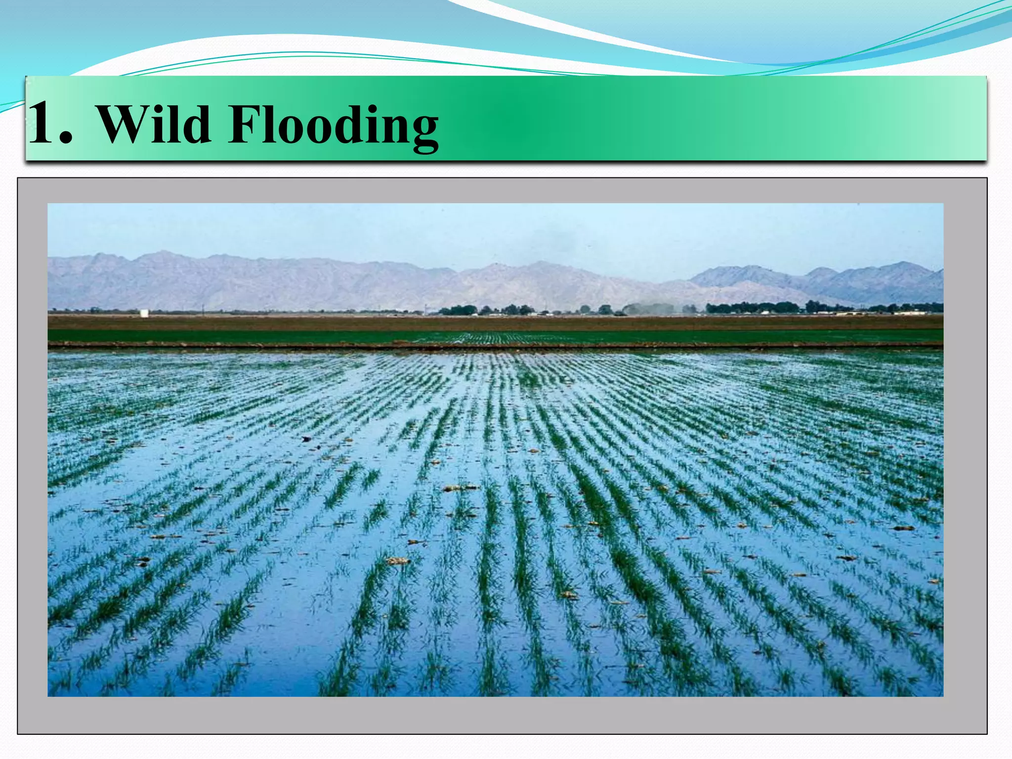 1. Wild Flooding
 