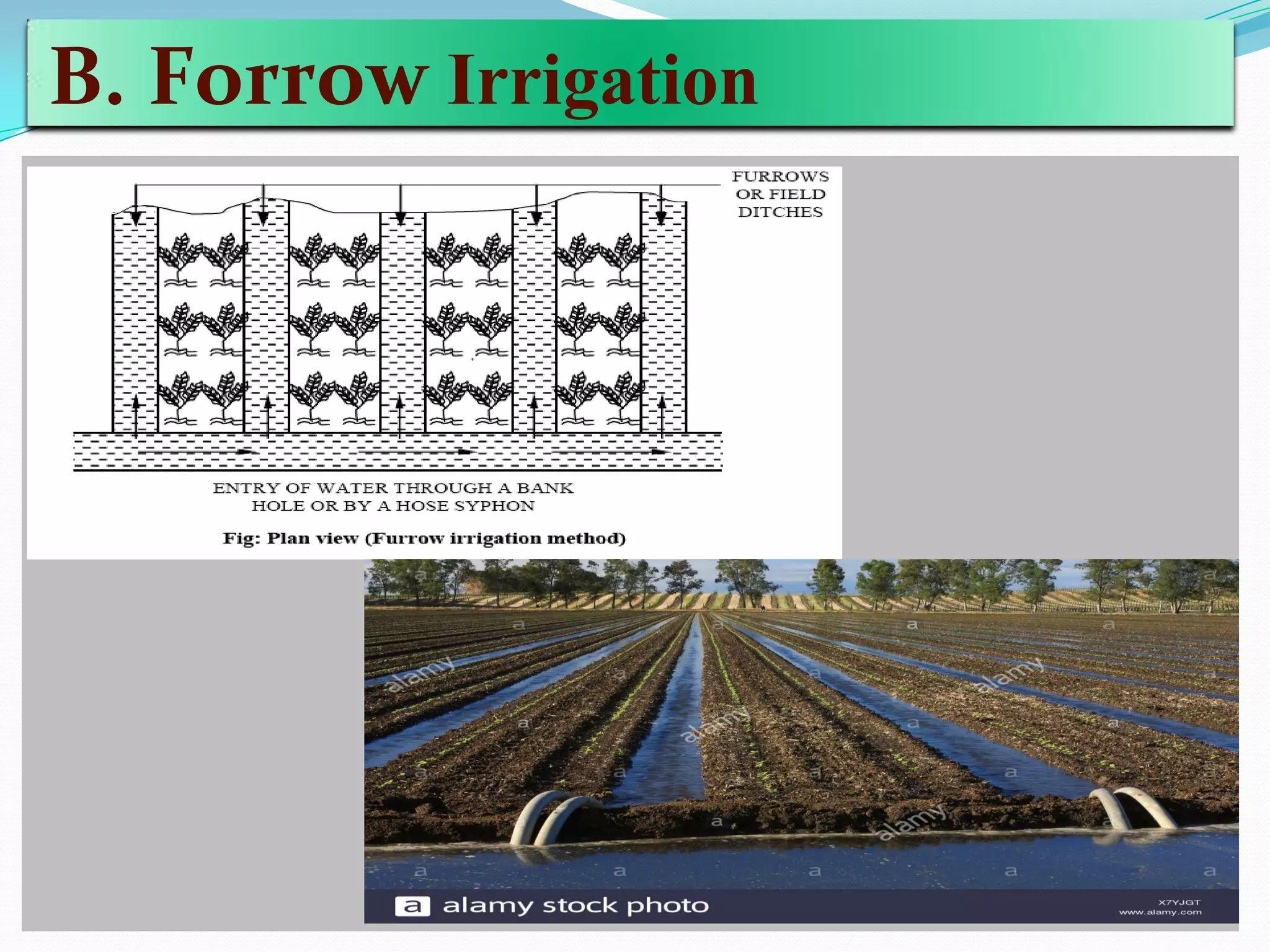 B. Forrow Irrigation
 